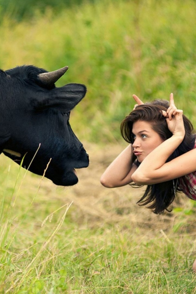 Funny Jokes Wallpaper - HD Wallpaper 