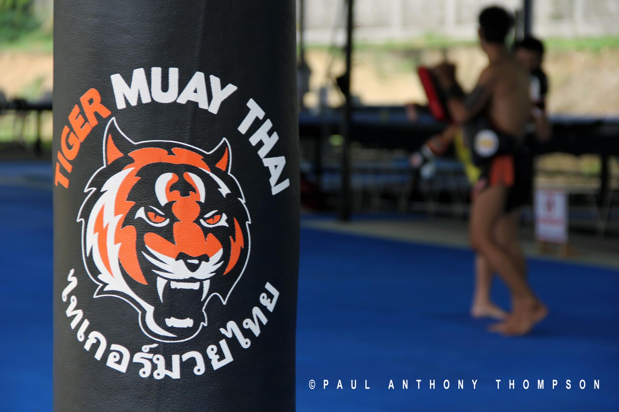 Tank Top Tiger Muay Thai - HD Wallpaper 