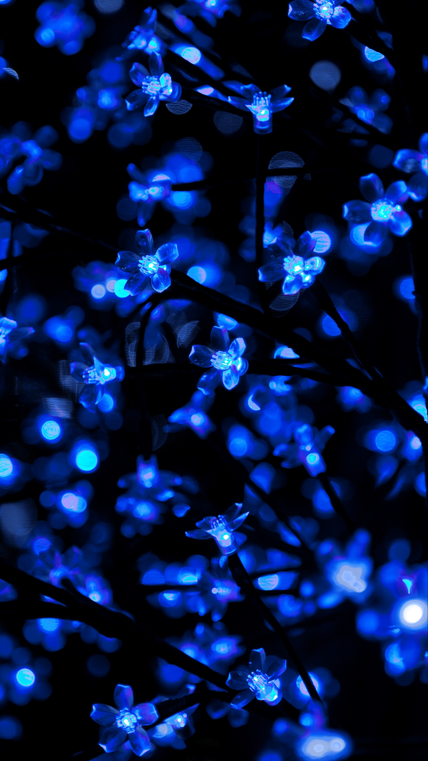 Wallpaper Garland, Neon, Light, Backlight, Blue, Dark - Christmas Lights  And Flowers Look Nothing Alike But - 1440x2560 Wallpaper 