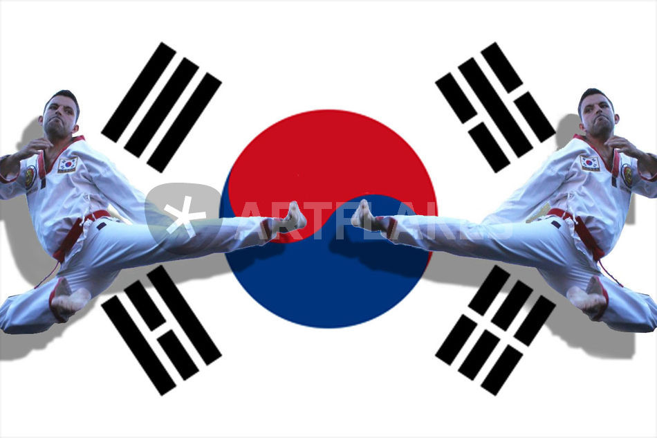 Sydkoreas Taekwondo Tema - Pepsi South Korea Flag - HD Wallpaper 