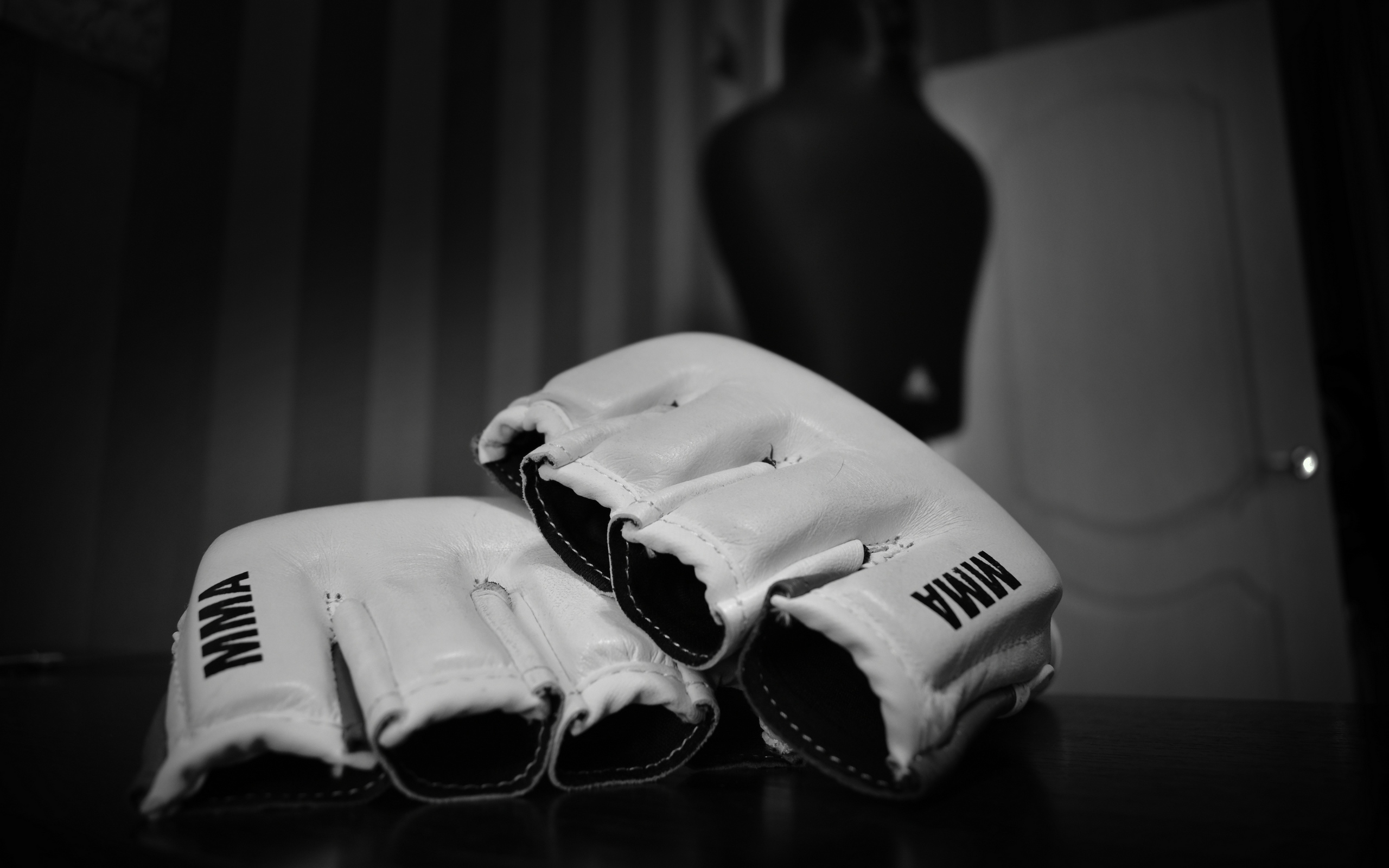 Wallpaper Mixed Martial Arts, Mma, Wrestling, Bw, Gloves - Mixed Martial Arts - HD Wallpaper 