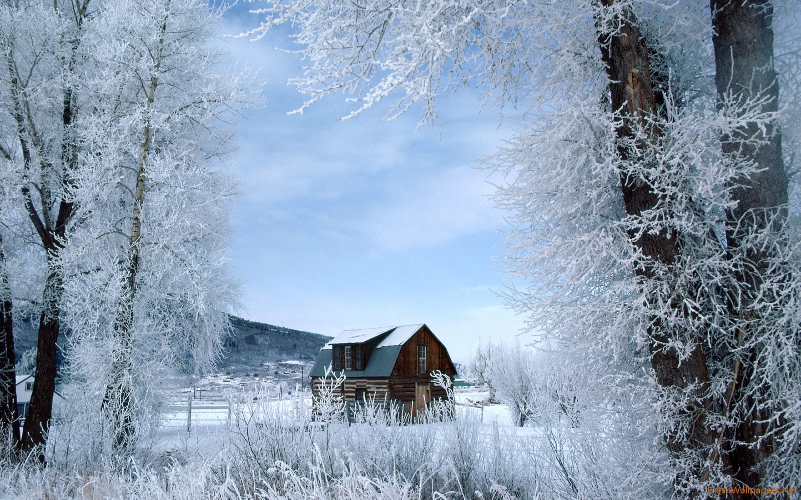 Winter Wonderland Wallpaper 1080p - HD Wallpaper 