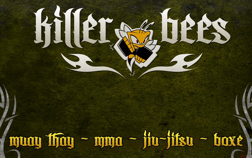 Africanized Bee - HD Wallpaper 