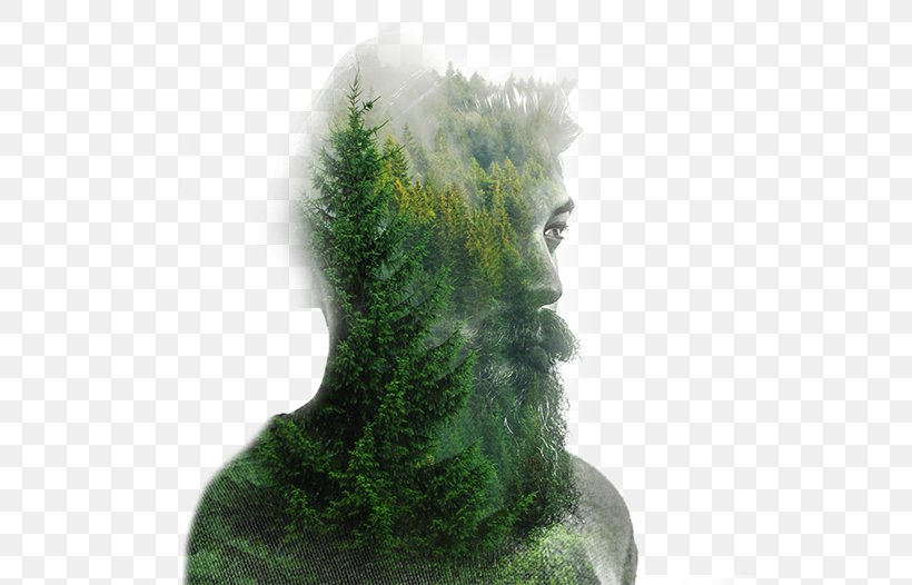 Desktop Wallpaper Display Resolution Samsung Galaxy - Carving - HD Wallpaper 