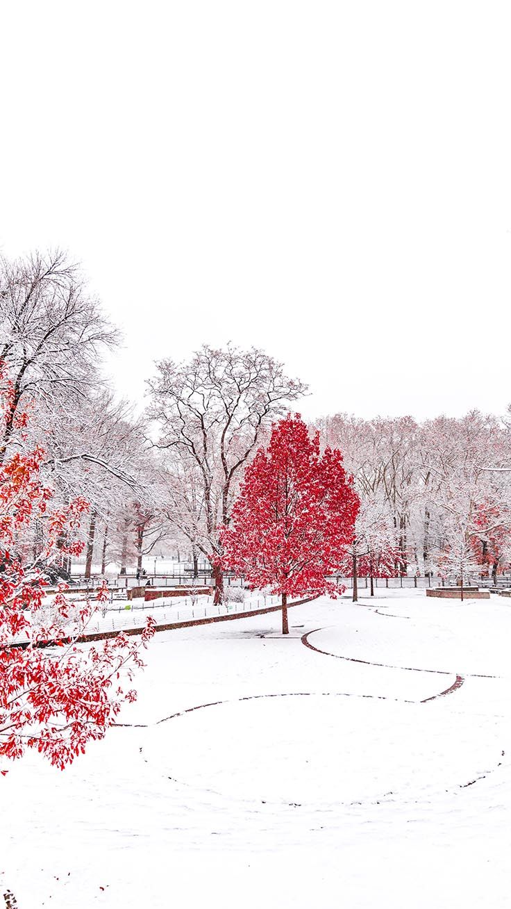 Iphone Wallpaper Winter Wonderland - HD Wallpaper 