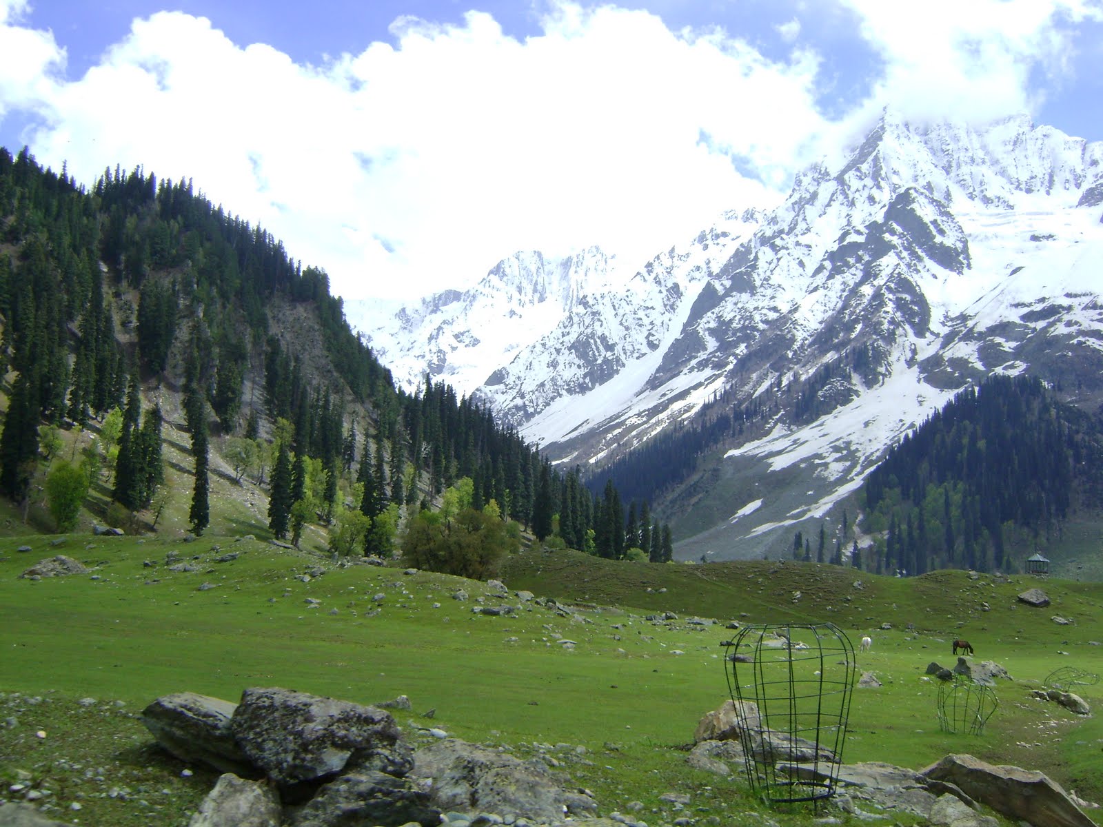 Nice Valley Kashmir , Valley Wallpapers - Sonamarg - HD Wallpaper 