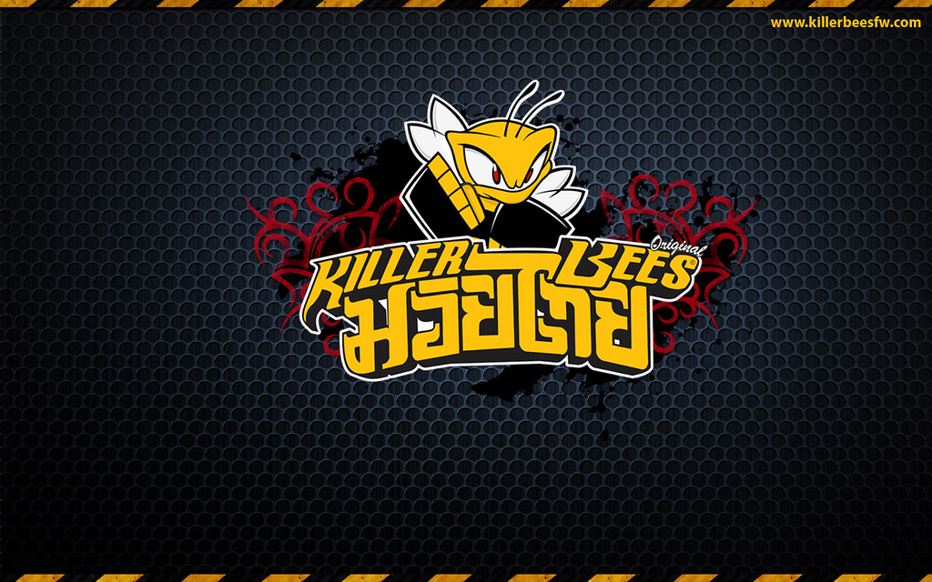 Killer Bees Muay Thai - HD Wallpaper 
