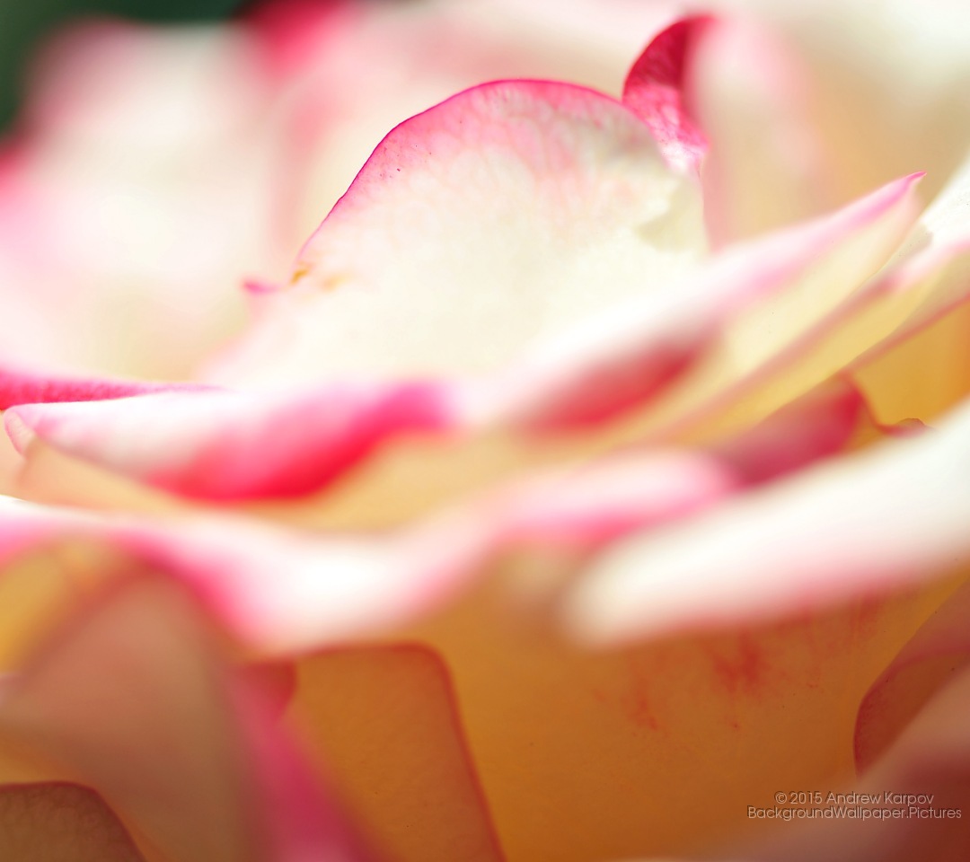 Samsung Galaxy J2 Prime Samsung 1080x960 Wallpaper Teahub Io