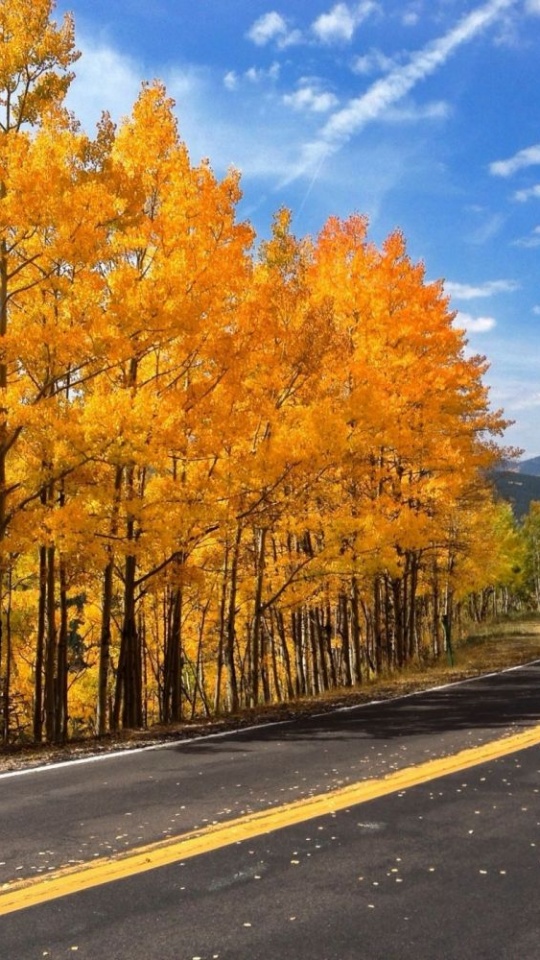 Autumn Road Trees Nature - Nature Wallpaper For J2 - HD Wallpaper 