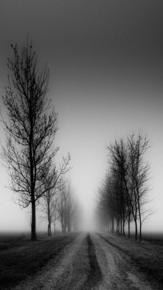 Landscape Lg G3 - Background Photography Wallpaper Hd - HD Wallpaper 