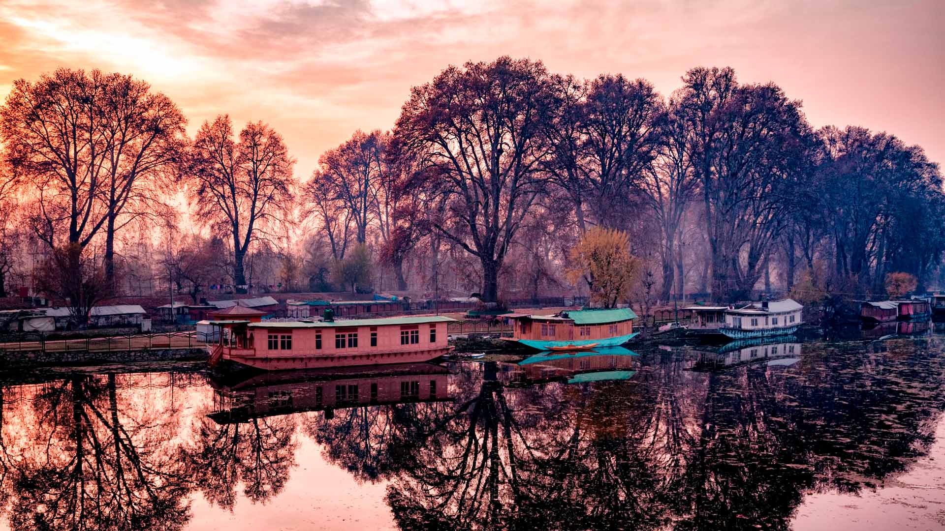 Jhelum Boats - Houseboats On Bank Of The Jhelum River India - HD Wallpaper 