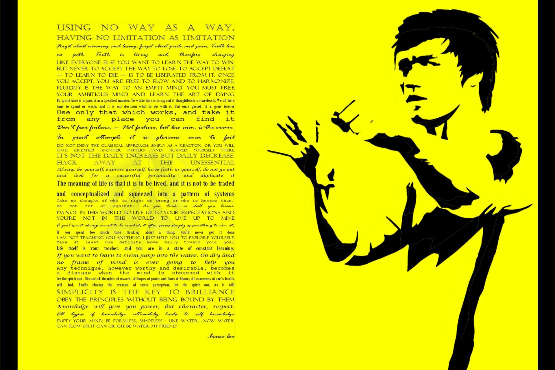 Free Download Karate Wallpaper Id - Bruce Lee Silhouette Vector - 1920x1280  Wallpaper 