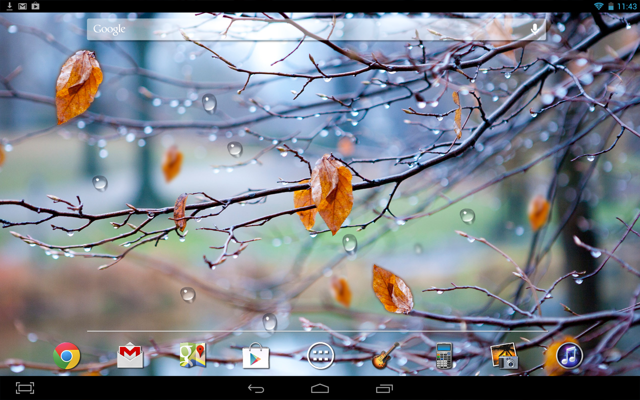 Autumn Raindrops - HD Wallpaper 