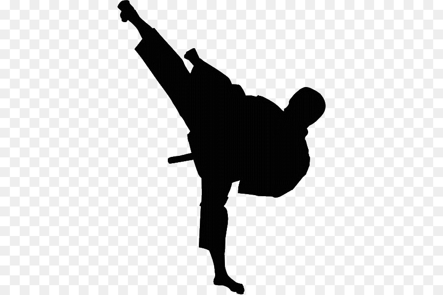 Karate Shotokan - HD Wallpaper 