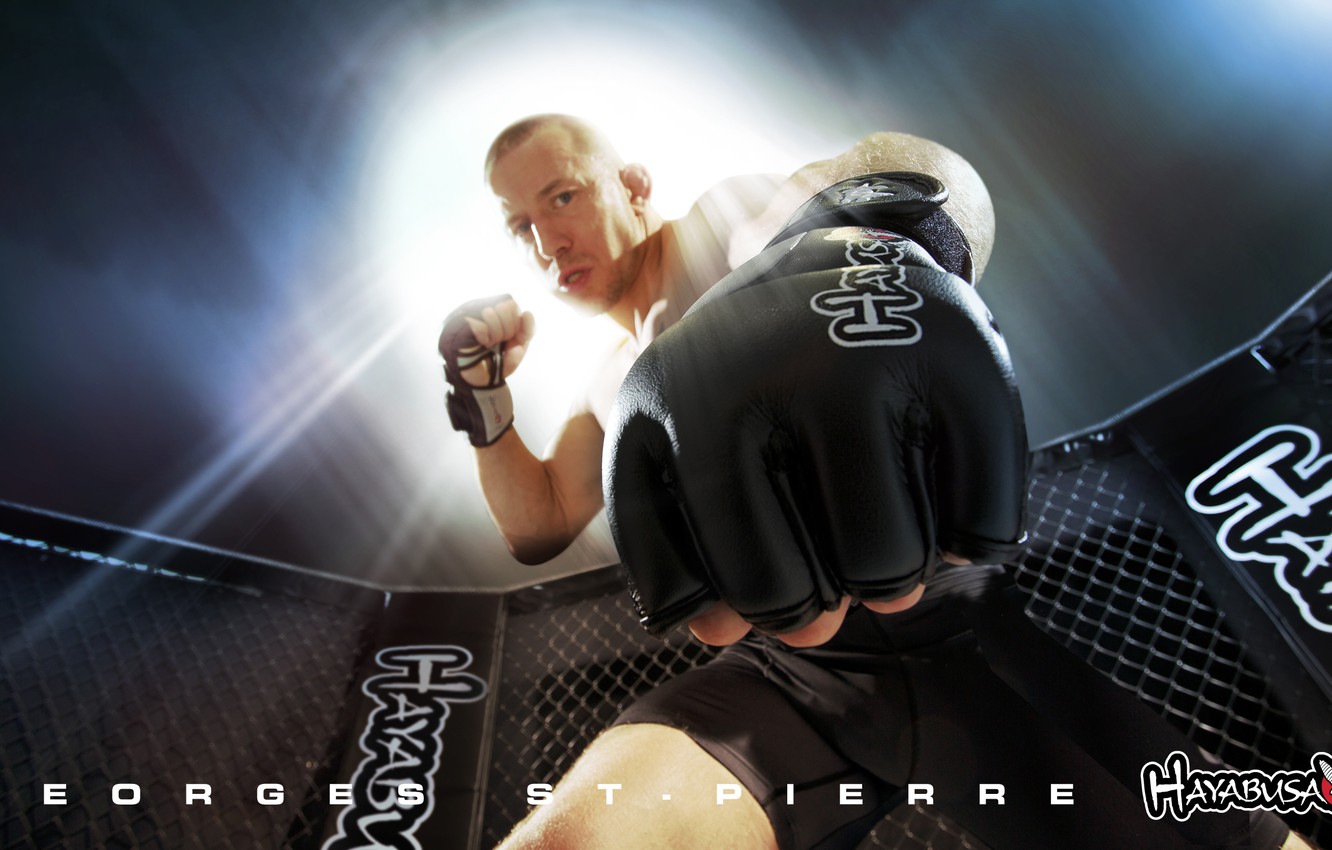 Photo Wallpaper Mma, Ufc, Champion, Georges, Welterweight, - Georges St Pierre - HD Wallpaper 