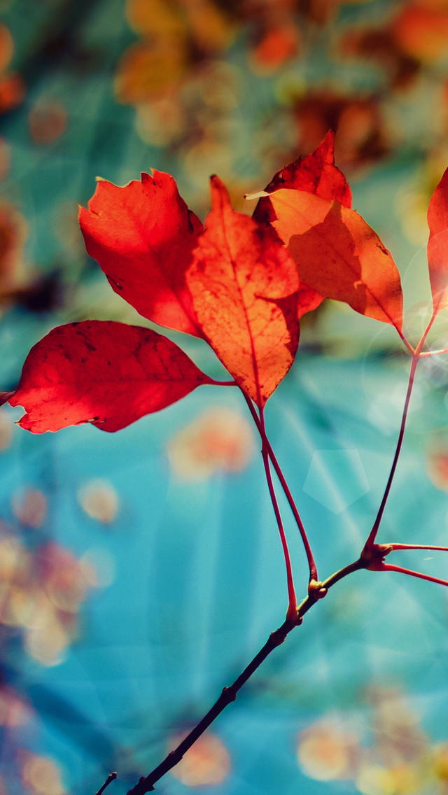 Samsung Wallpaper Full Hd 4k Ultra - HD Wallpaper 