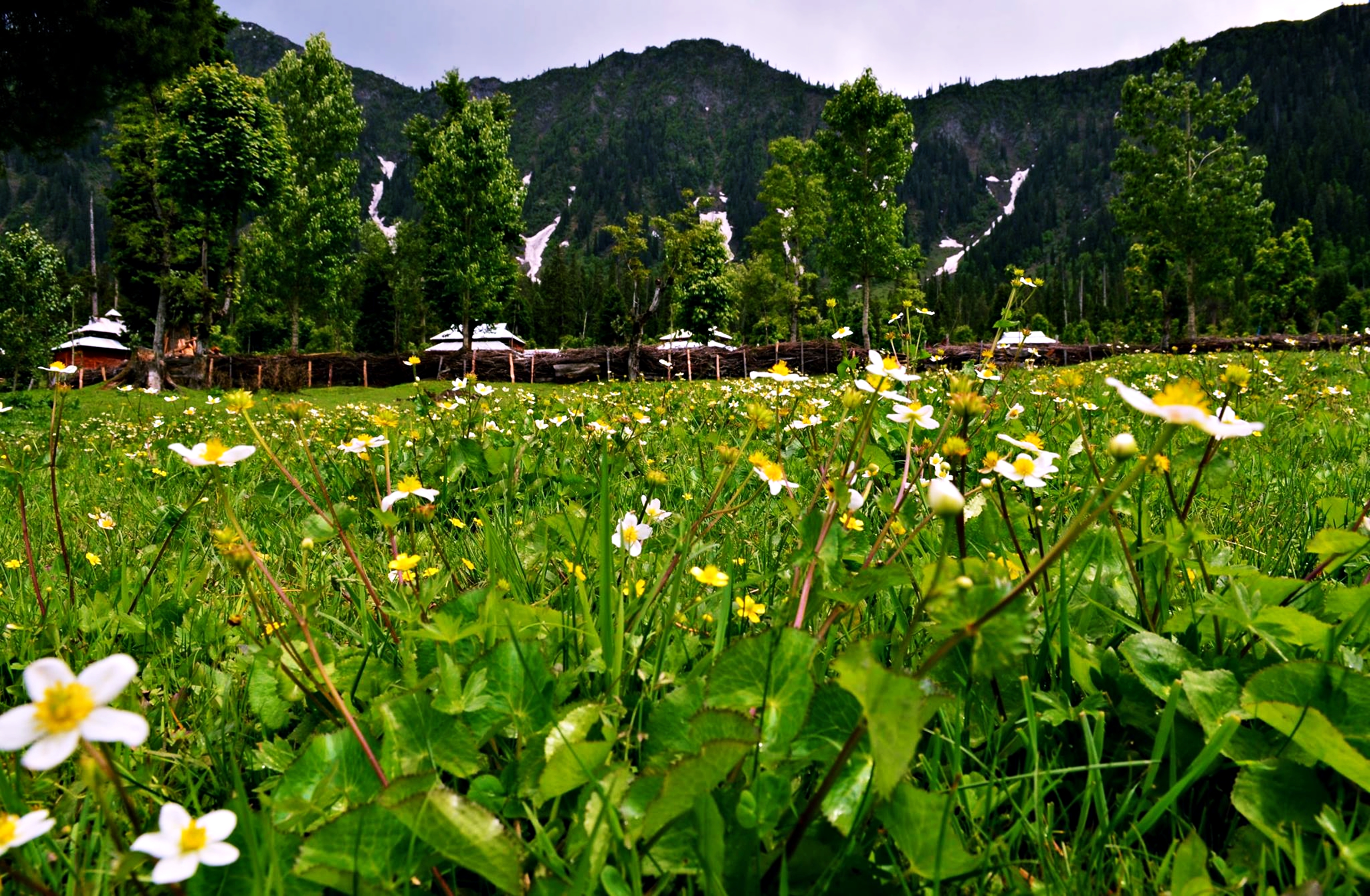 Pakistan Kashmir - HD Wallpaper 