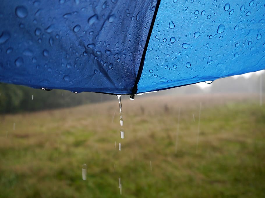 Rain, Nature, Wet, Variety, Weather, Drop, Water, Rainy - اللهم ارزقنا مع هذا الغيث - HD Wallpaper 