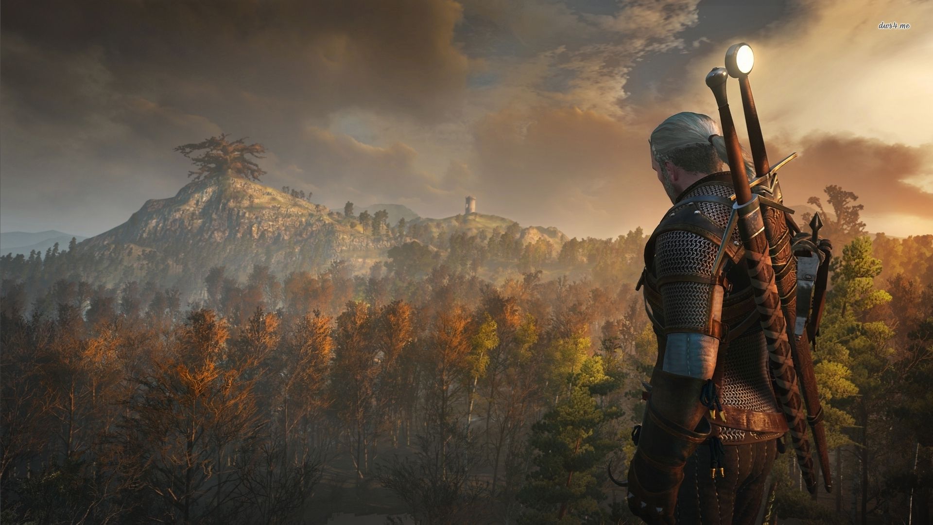 The Witcher Wild Hunt Wallpapers Hd Wallpapers Wallpapers - Witcher Wallpaper Hd - HD Wallpaper 