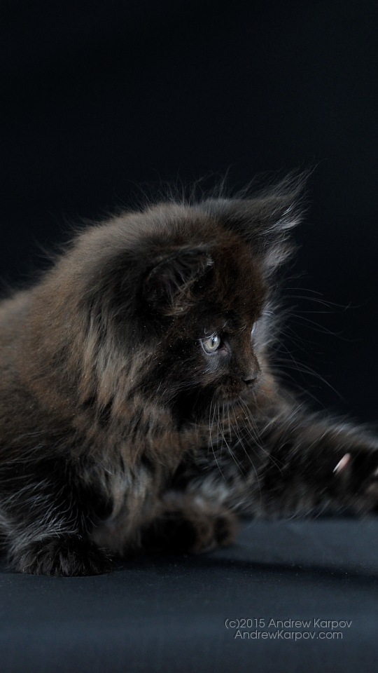 Samsung Galaxy J2 Prime Background - Poze De Fundal Pt Iphone - HD Wallpaper 