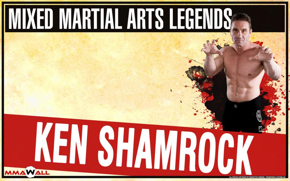 Mma Hd Wallpaper,sports Wallpaper,mma Wallpaper,1440x900 - Wallpaper - HD Wallpaper 