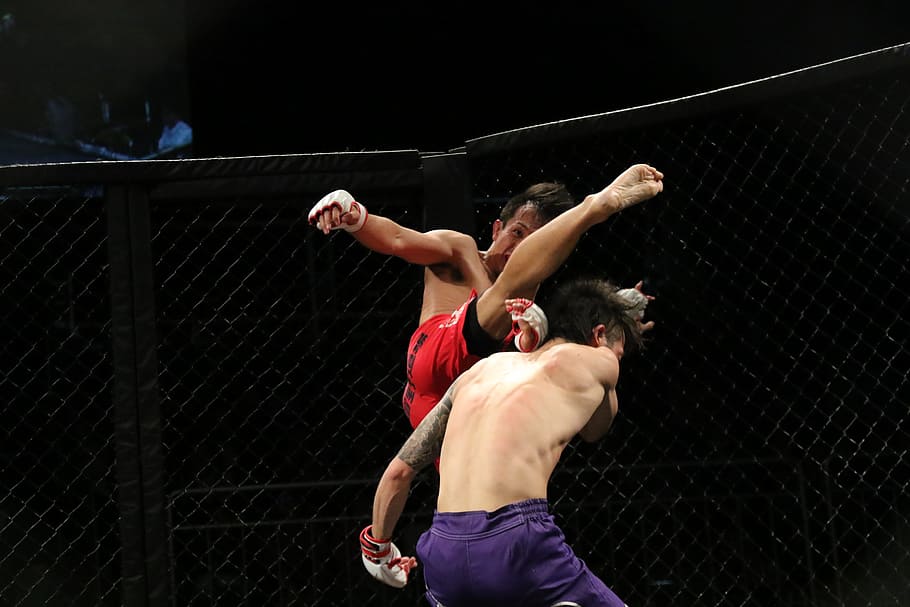 Mma, Shooto, Maza, Fight, Japan, Maza Fight, Martial - Mixed Martial Arts - HD Wallpaper 