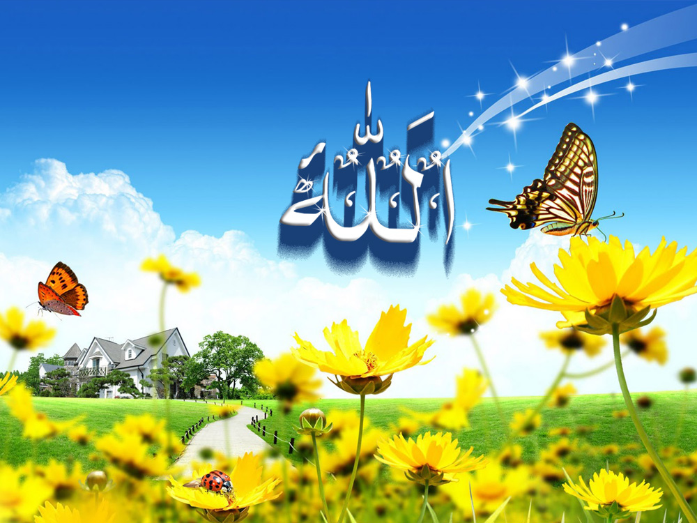 Allah Name Wallpapers Hd Pictures One Hd Wallpaper - Spring Yard Clean Up Flyers - HD Wallpaper 
