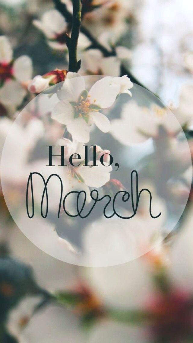 Hello March Backgrounds - HD Wallpaper 