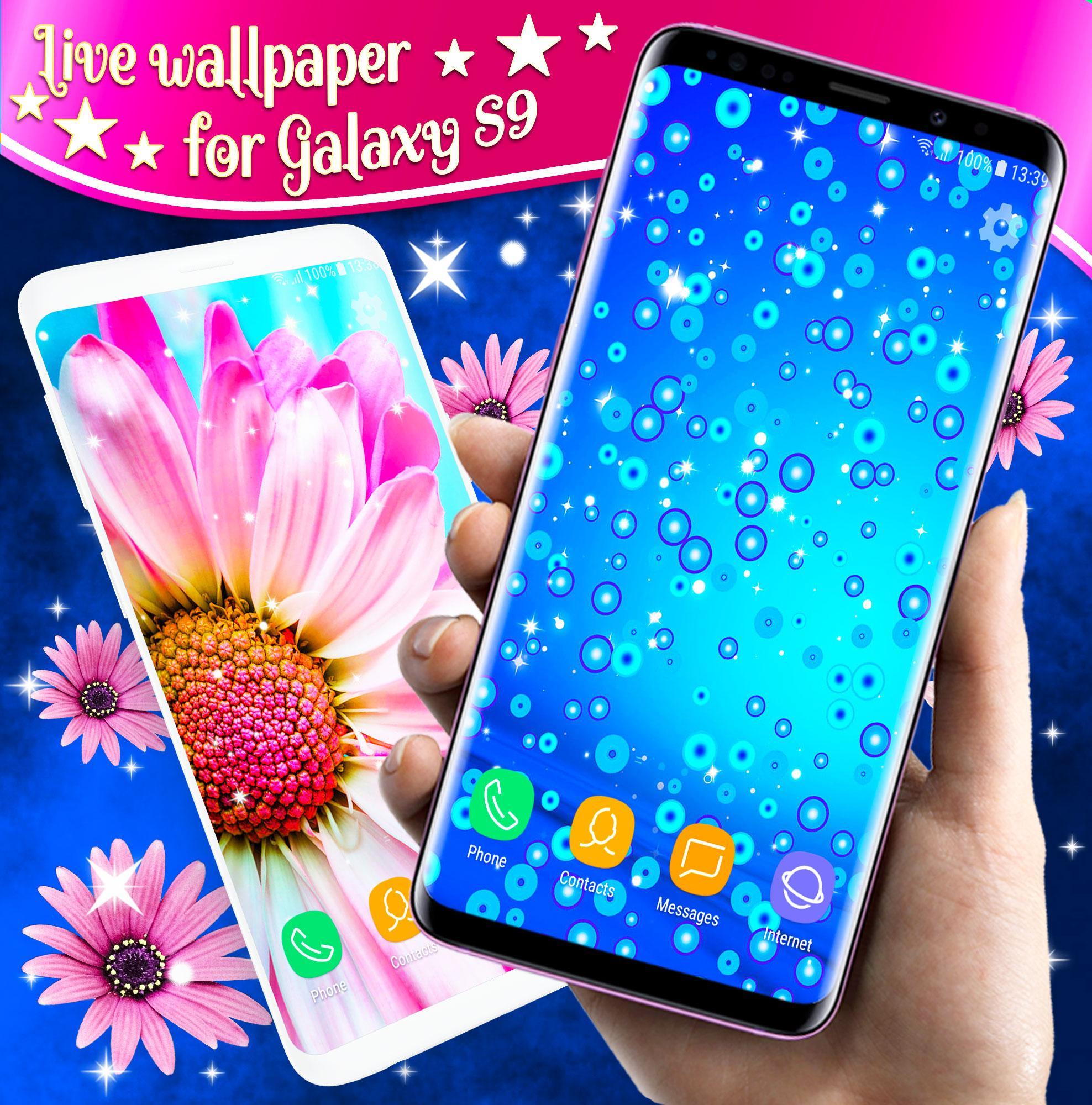 Aster - HD Wallpaper 