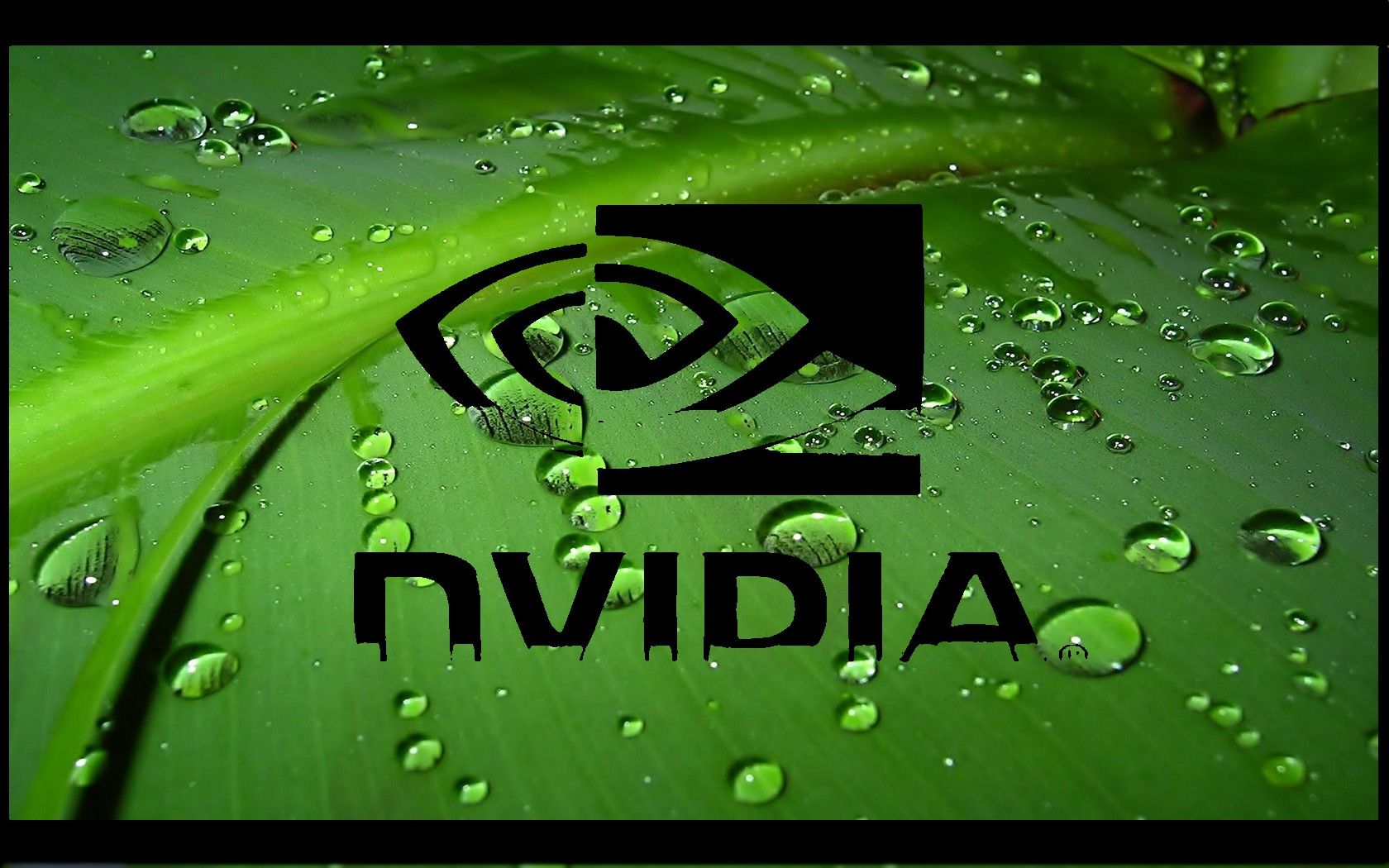 Nvidia 4k Background - HD Wallpaper 