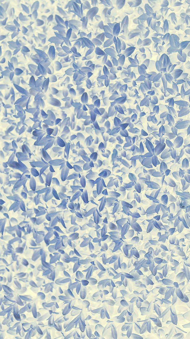 Vk73 Nature Blue White Leaf Grass Garden Flower Pattern - Blue Iphone Wallpaper Floral - HD Wallpaper 
