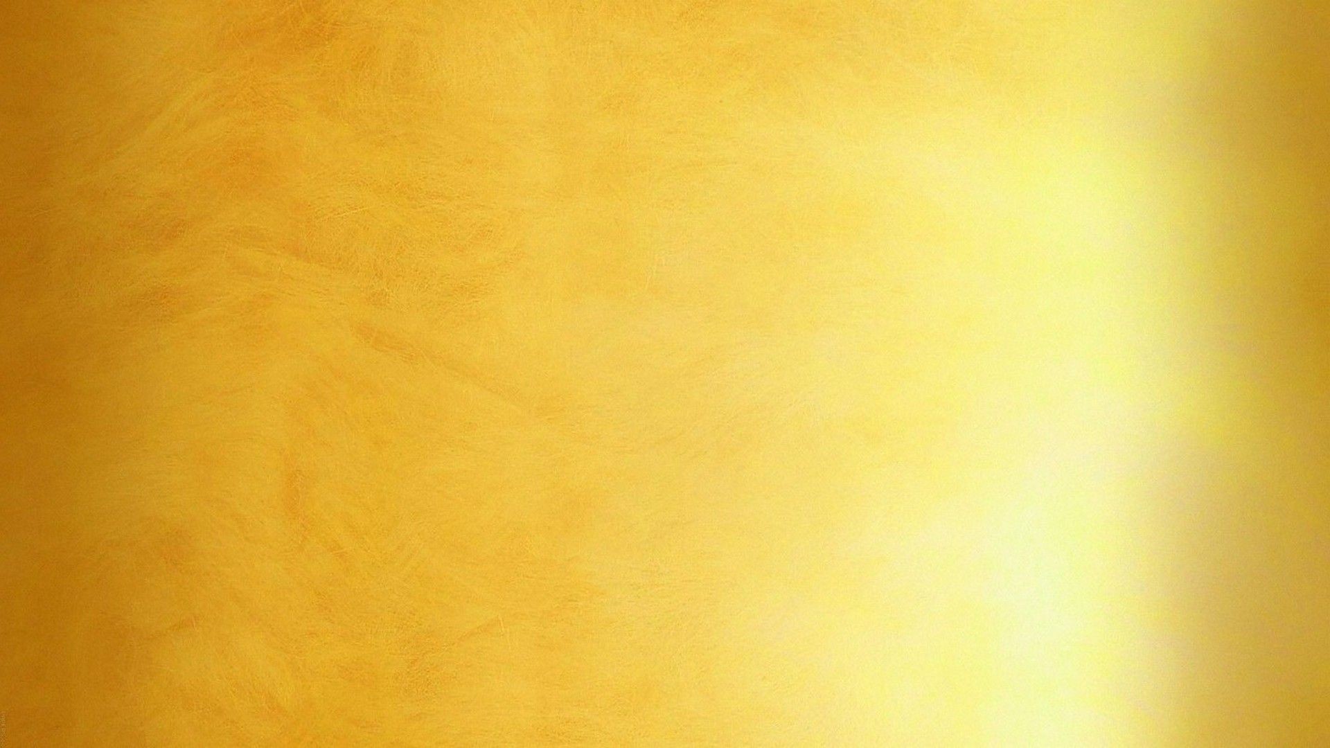 Gold Color Wallpaper Data Src Gold Color Wallpaper - Plain Hd - 1920x1080  Wallpaper 