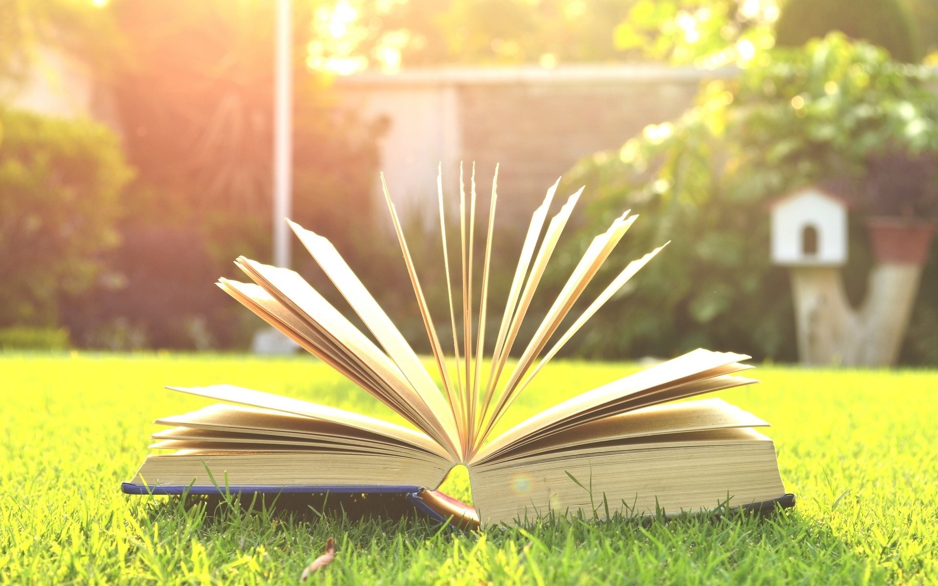 Reading Background Hd - 1920x1200 Wallpaper Reading Background Hd - 1920x1200 Wallpaper