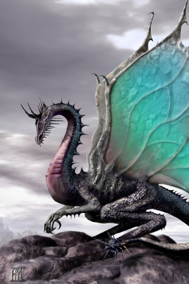 Dragon Images Hd Download - HD Wallpaper 