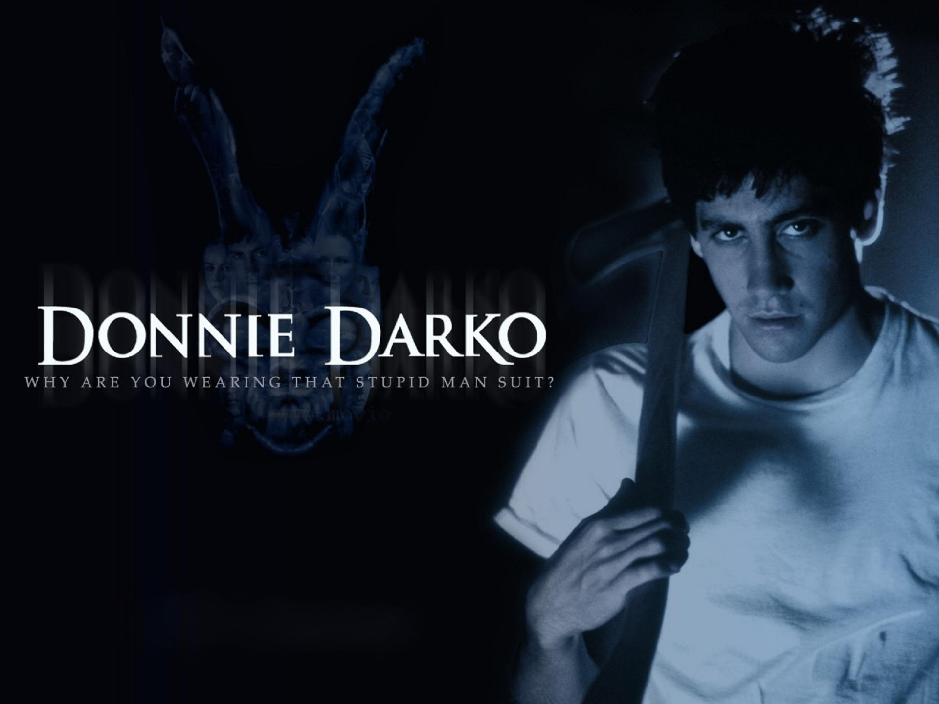 Free Donnie Darko High Quality Wallpaper Id - Donnie Darko Movie Background - HD Wallpaper 