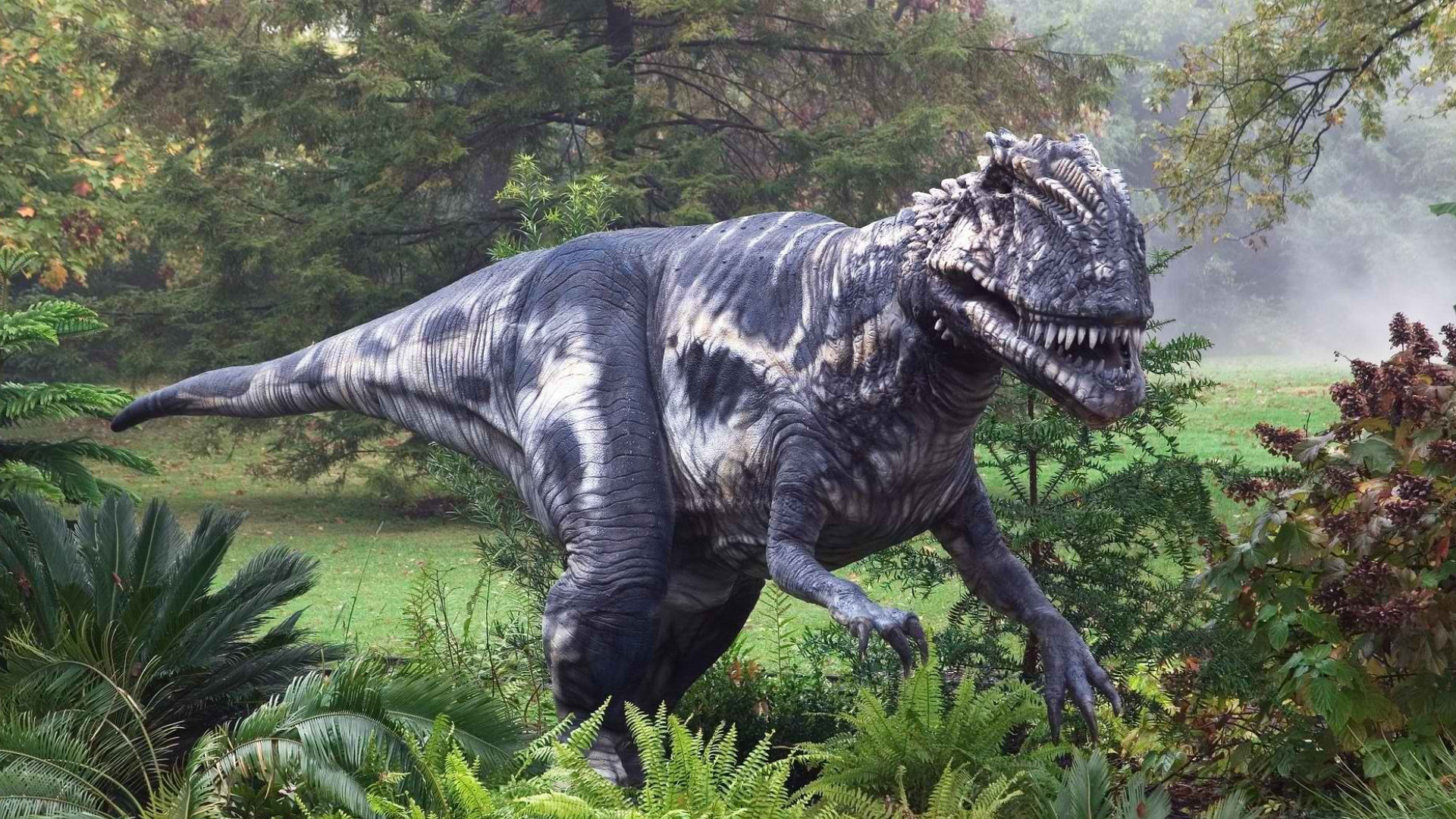 Download Hd 1080p Tyrannosaurus Rex Pc Wallpaper Id - Dinosaur High Resolution - HD Wallpaper 