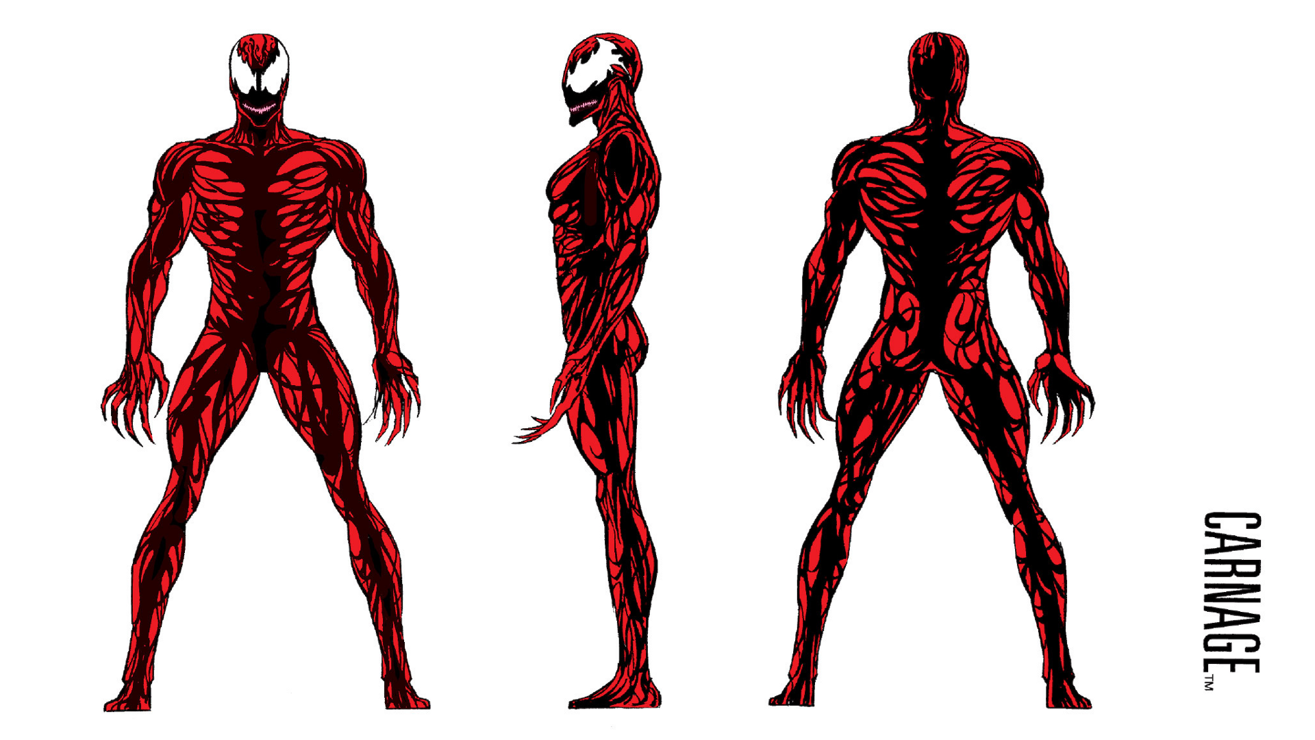 Marvel Character Profiles - HD Wallpaper 