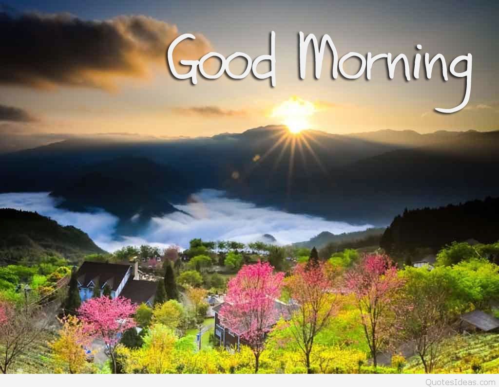 Hd Morning Images Download - HD Wallpaper 
