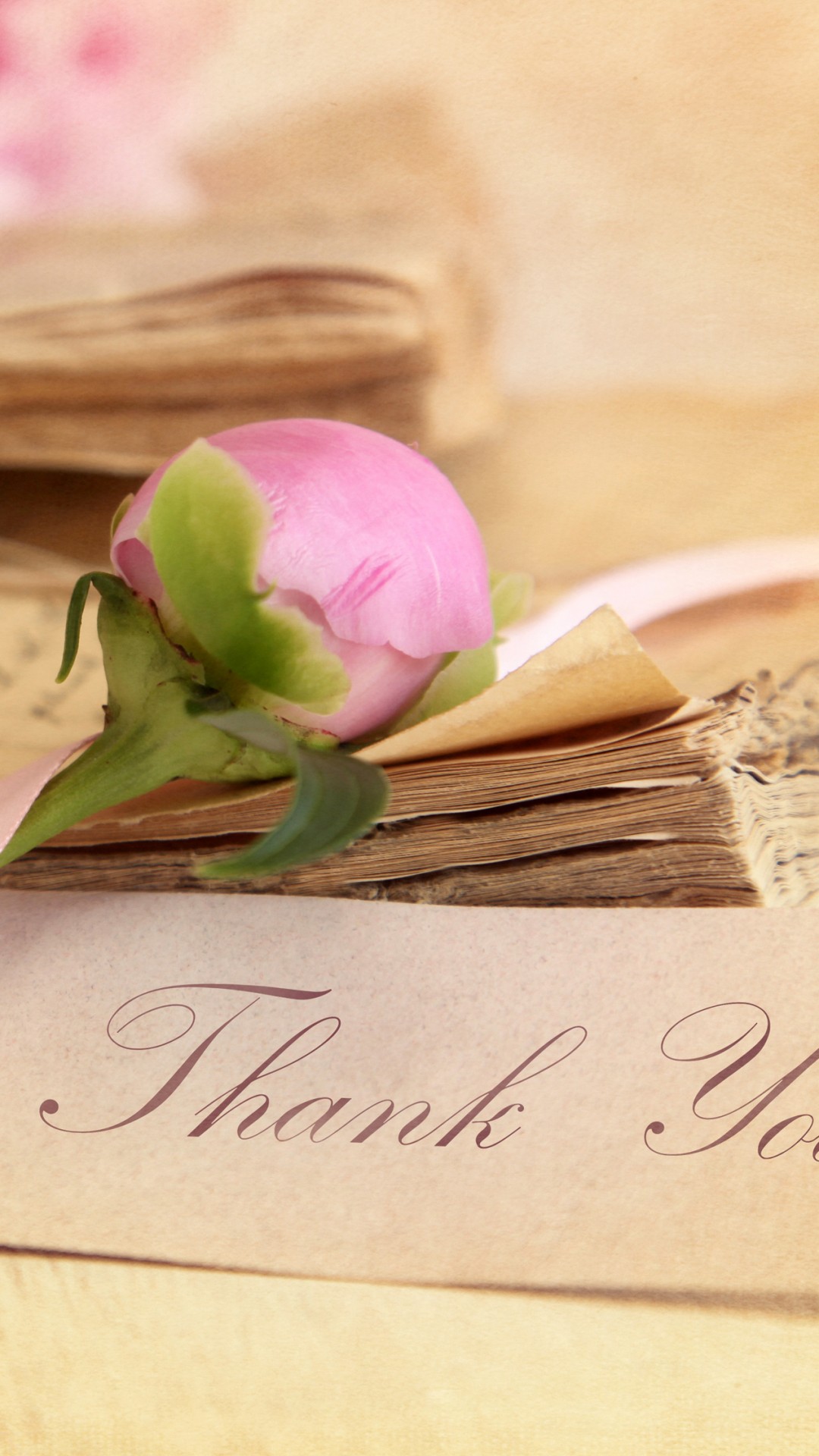 Thanks Wallpaper - HD Wallpaper 