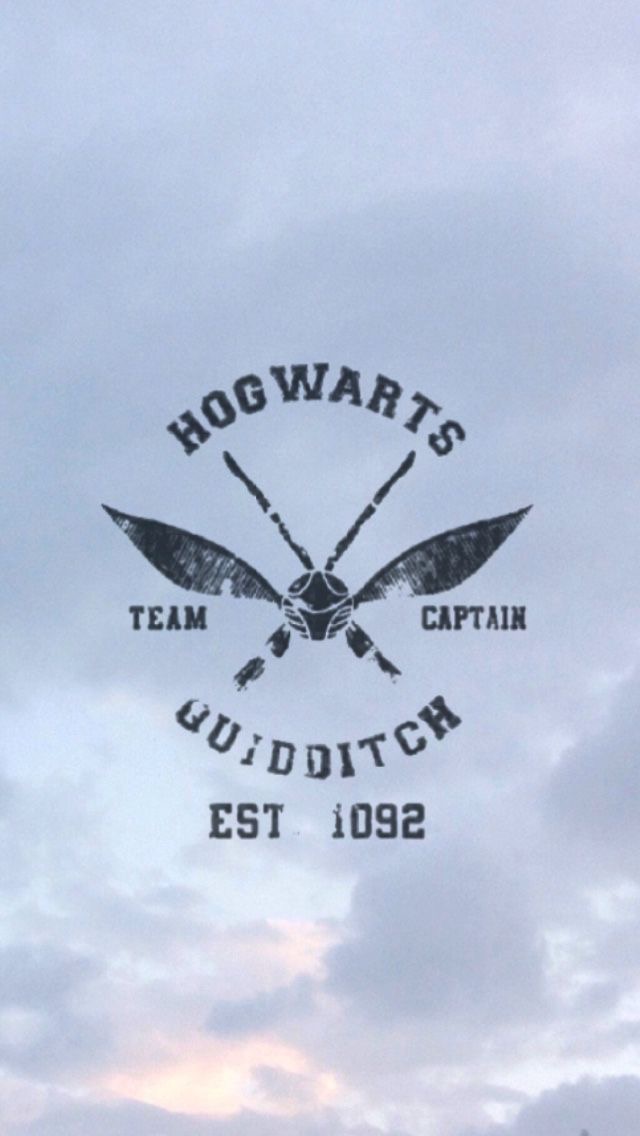 Hog Warts Quiditch Phone Wallpaper - Wallpaper - HD Wallpaper 