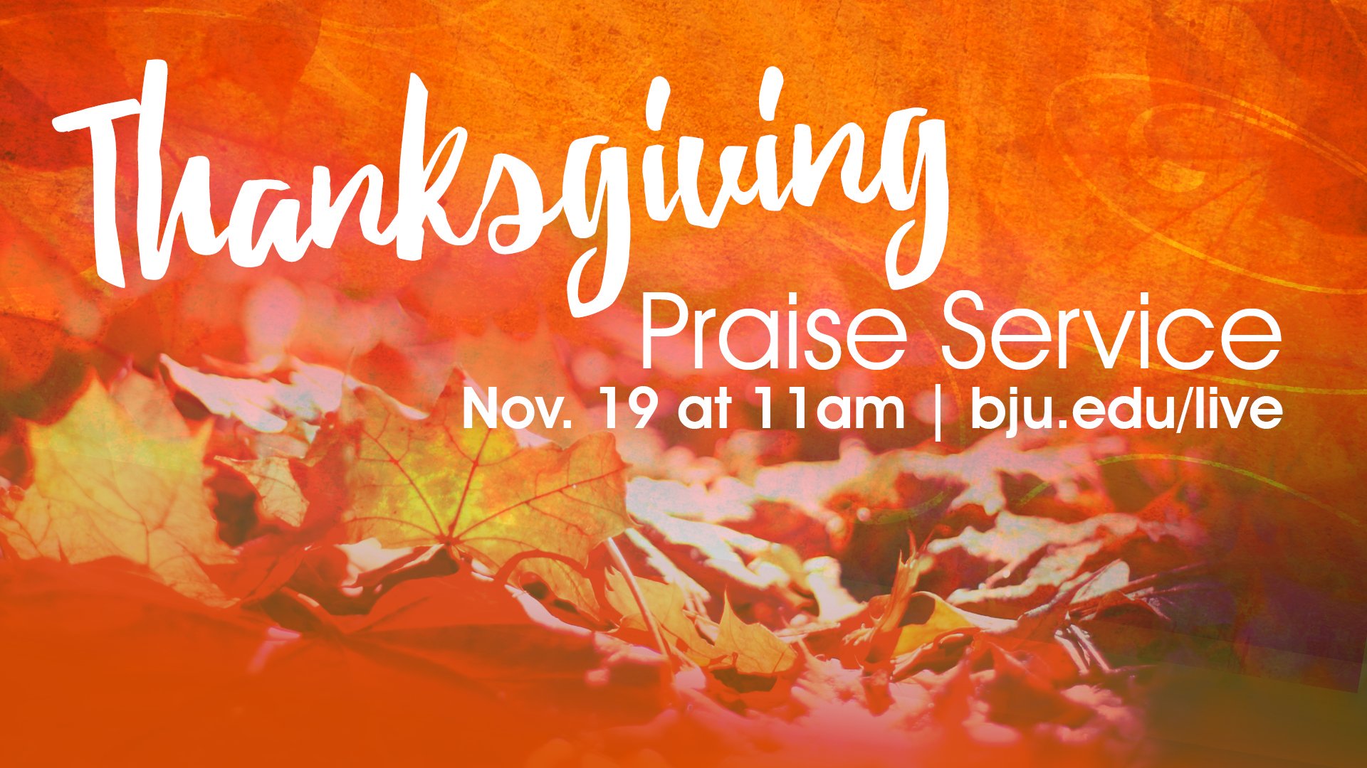 Thanksgiving Live Wallpaper - HD Wallpaper 