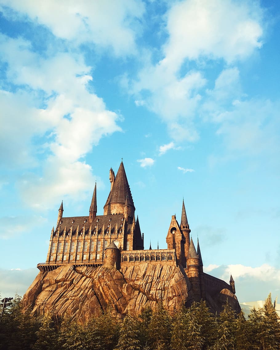 Gray Castle Surrounded By Trees, Harry Potter, Wizard, - Quotes For Theme Park - HD Wallpaper 