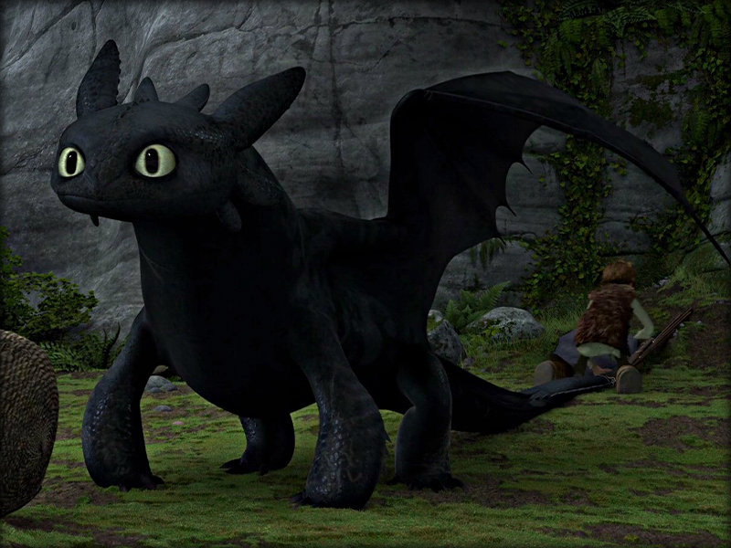 ★ Toothless ☆ - Train Your Dragon Toothless - HD Wallpaper 