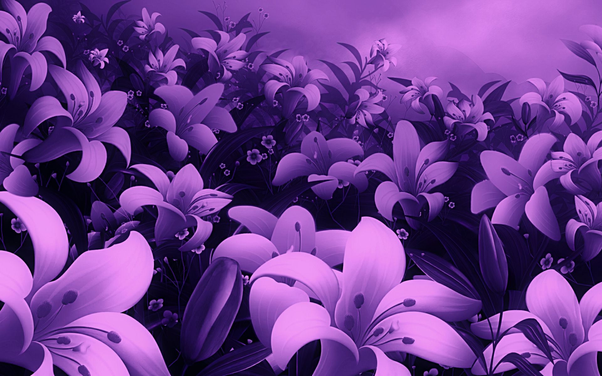 Full Screen Hd Wallpapers Of Flowers - HD Wallpaper 