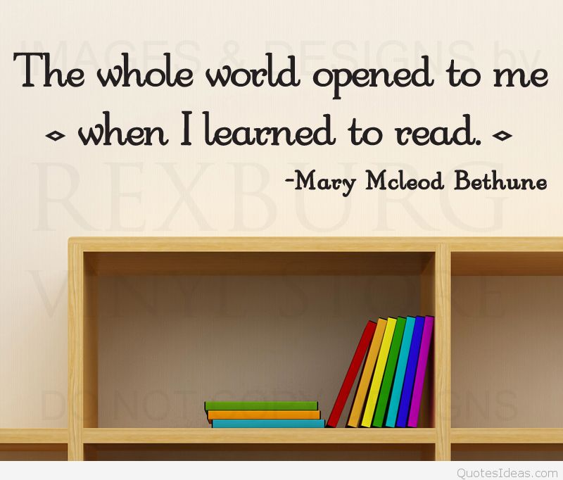 S33 Large - Quotes About Reading Hd - HD Wallpaper 
