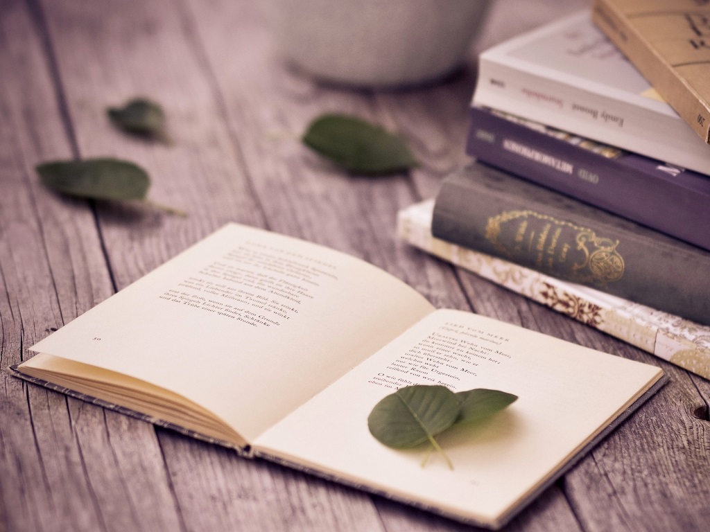 Book Wallpaper - Reading Book Fall - 1024x768 Wallpaper Book Wallpaper - Reading Book Fall - 1024x768 Wallpaper
