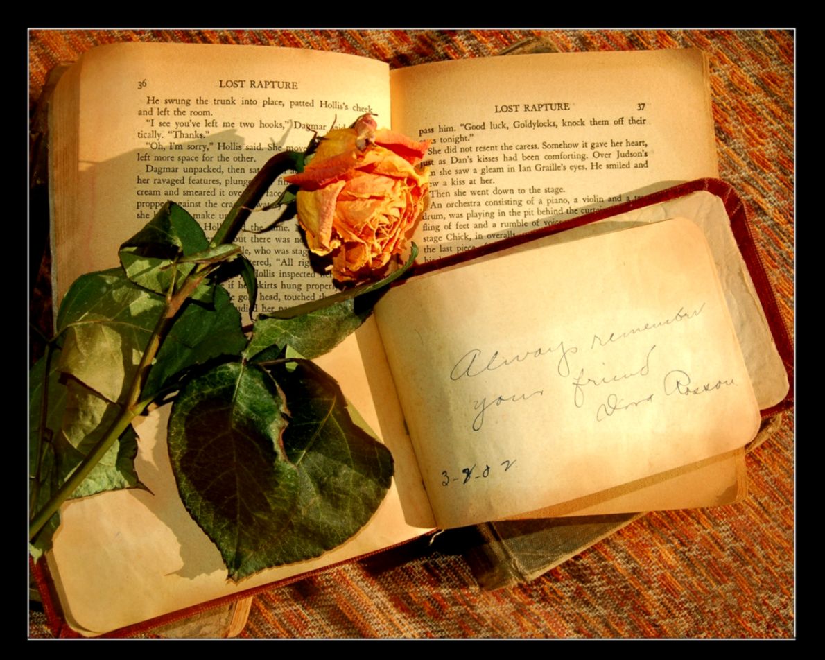 Old Book With A Rose Flower Wallpaper Flowers Wallpaper - Abstract Art Farewell - HD Wallpaper 