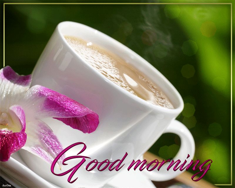 Beautiful Images Good Morning - HD Wallpaper 