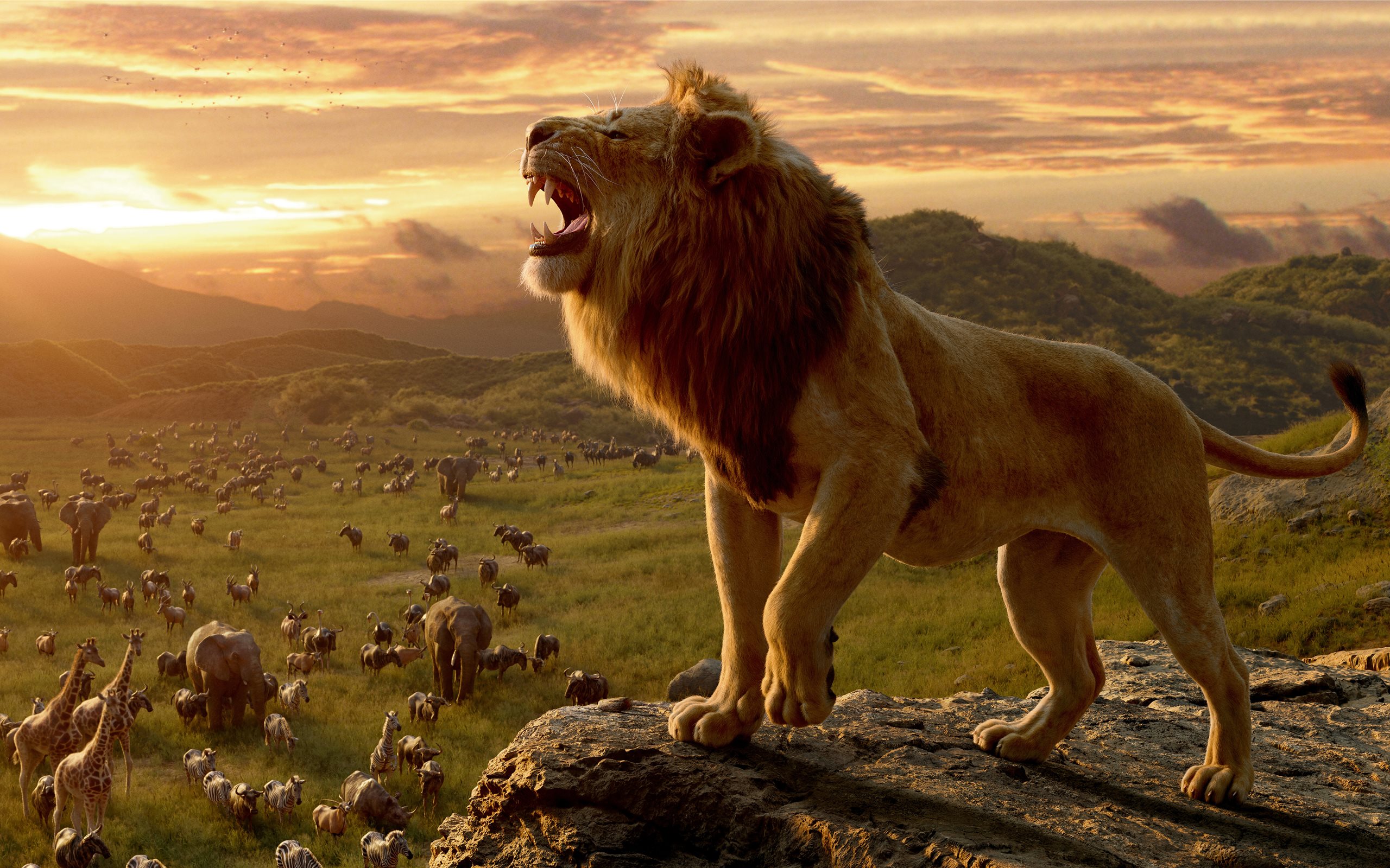 Lion King Wallpaper 2019 - HD Wallpaper 