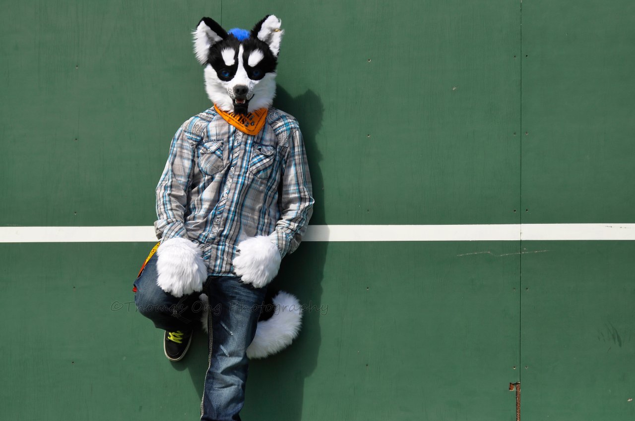 Ajax - Wallpaper Worthy - Fur - HD Wallpaper 